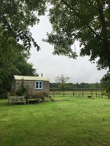 Mollie's Hut
