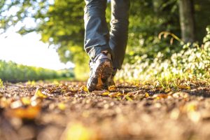 close up of feet walking on a woodland track