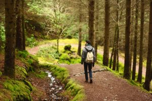 person walking through woodland