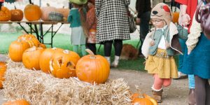 Pumpkin carving workshop