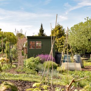 Allotment