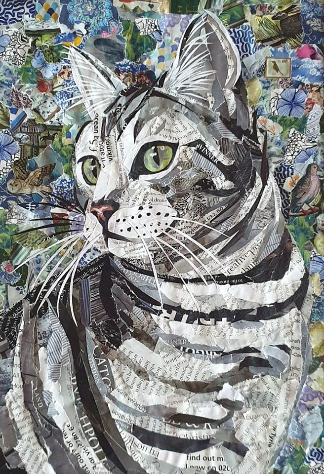 Violet von Riot collage of cat