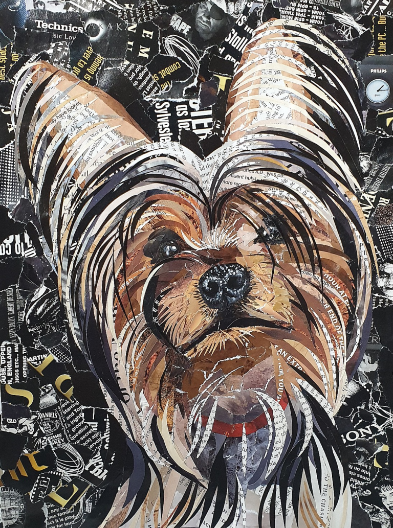 Violet von Riot Yorkshire terrier collage