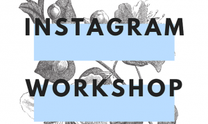instagram workshop