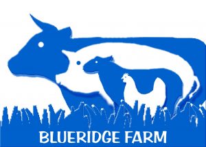 Blueridge farm logo