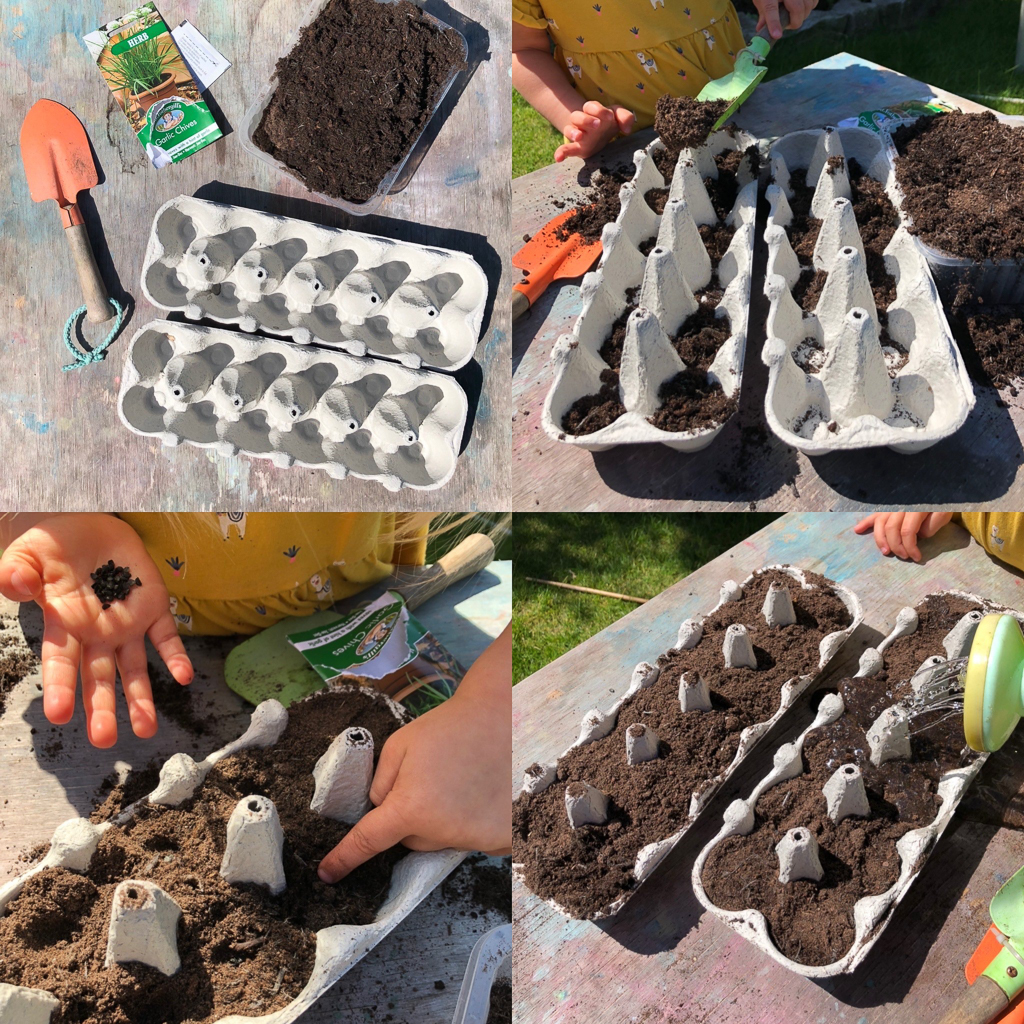 Wild about nature Recycle egg boxes to plant seeds Discover Frome