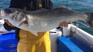 Fisherman holding big fish