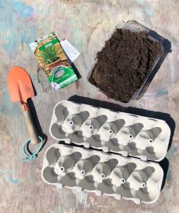 materials for growing seeds in egg boxes