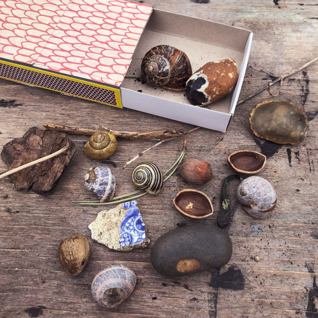 Photo of shells found on a walk