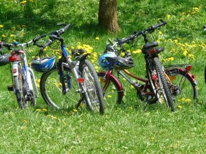 Bikes lined up on grass