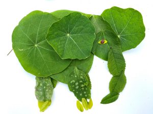 nature sculpture of an elephant made from leaves