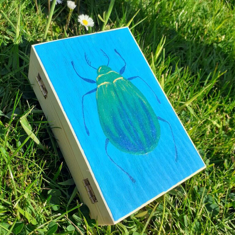 Beetle painting on wooden box by Sue Willis