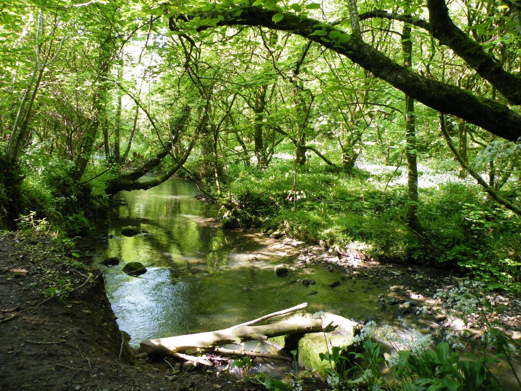 River Frome