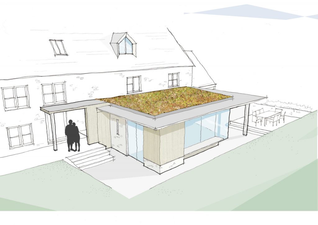 extension-sketch-with-sedum-roof