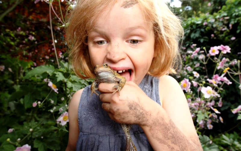 Girl holding frog