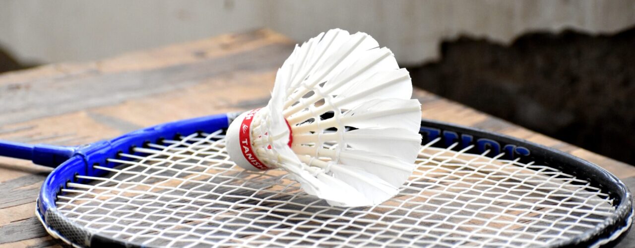 Shuttlecock on racket