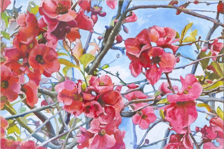 Painting 'Red Japonica' by Kate Cochrane