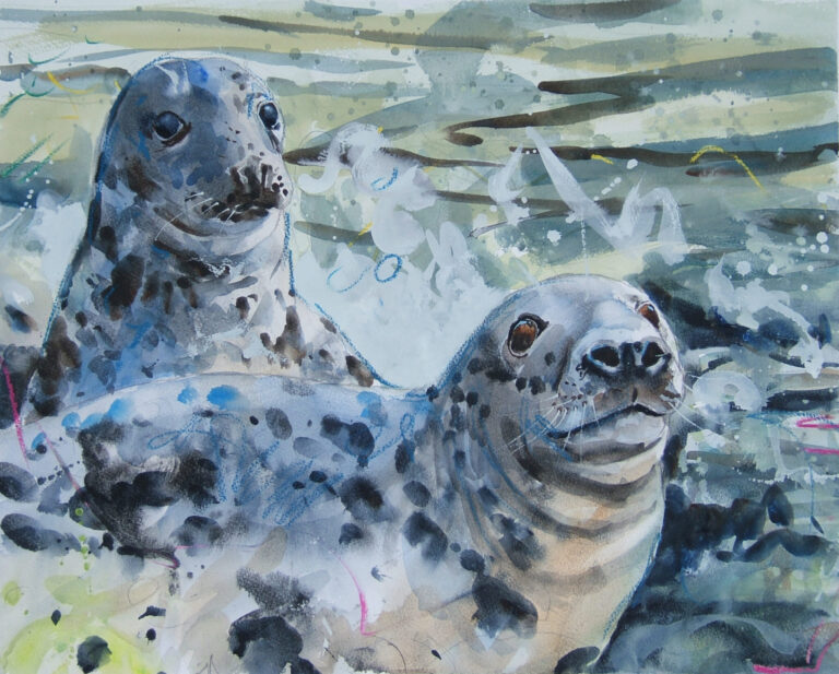 Brian Baxter painting - Grey seals