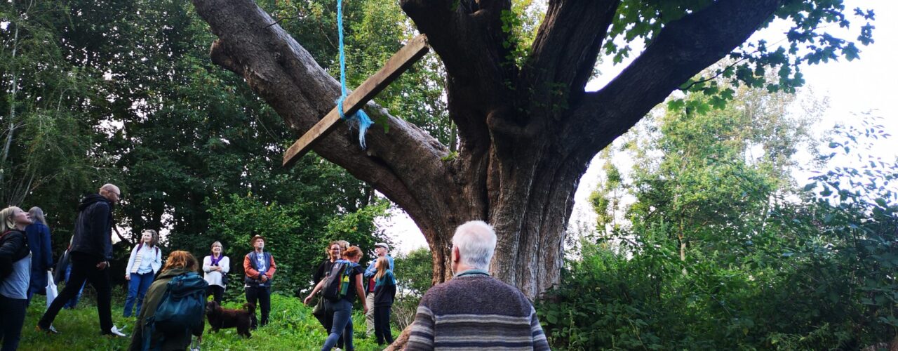 Heritage Tree walk