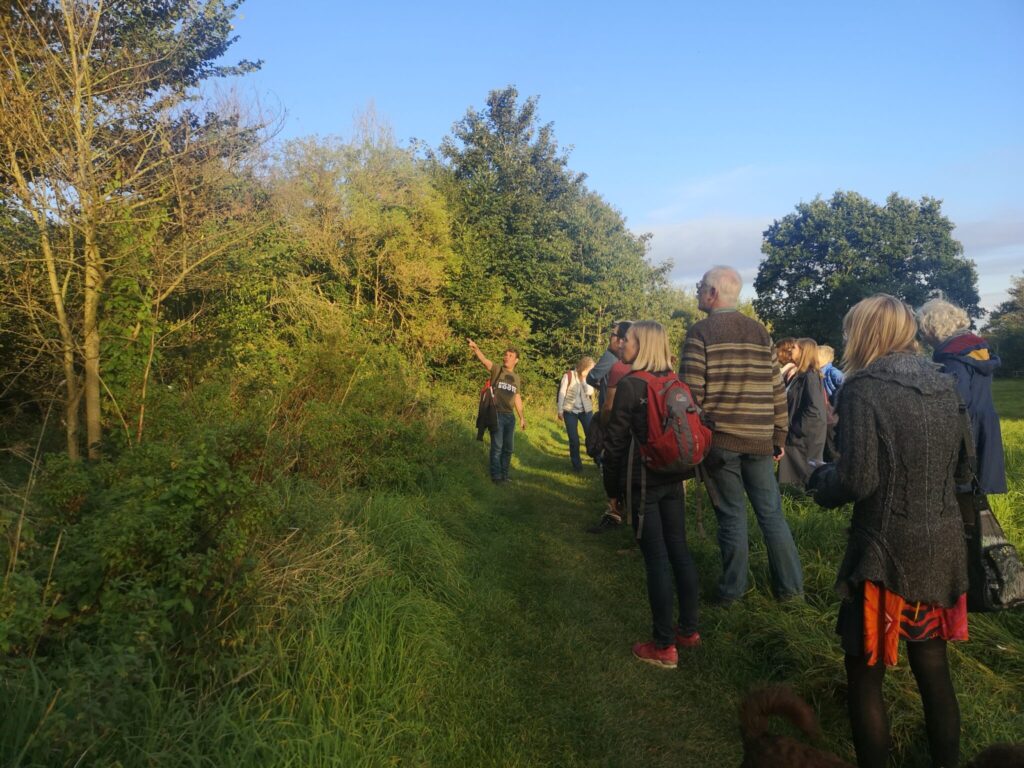 Heritage tree walk