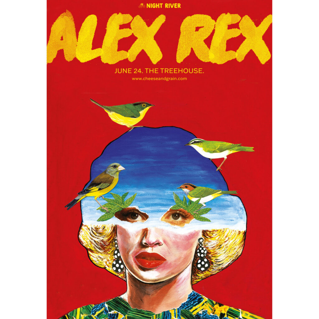 Alex Rex poster