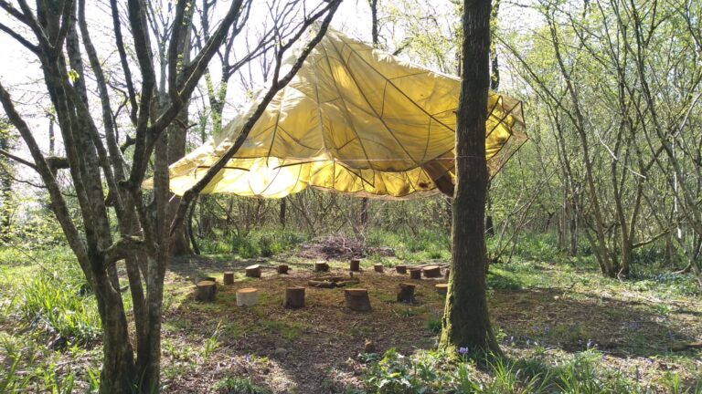 Earthwise - woodland area with canopy