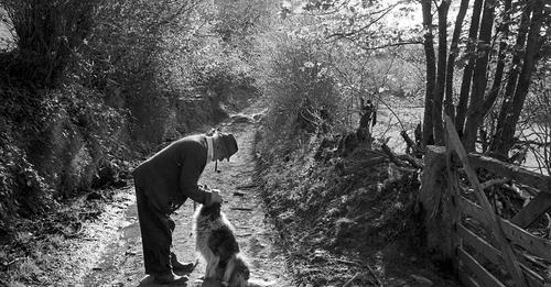 James Ravilious - Man with dog