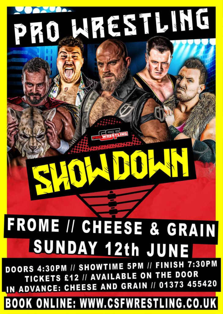 Pro Wrestling showdown poster