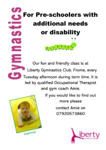 disability gym poster