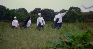 Chefs carrying guitars through a field