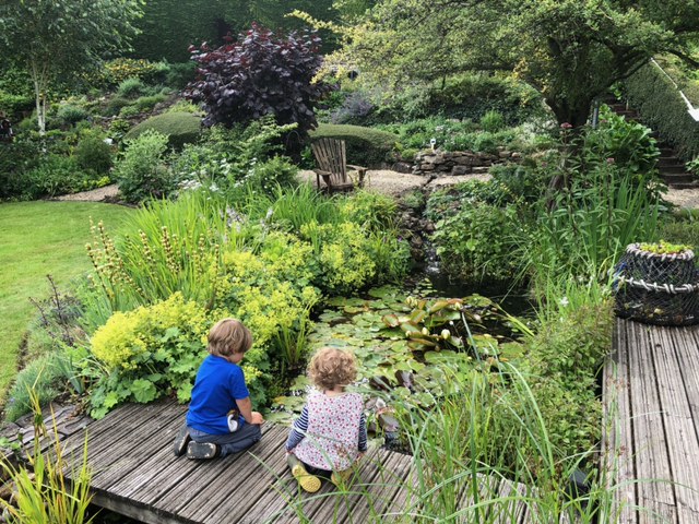 children looking in a garden pond