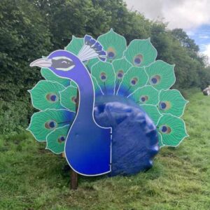 Palette-and-Pasture-Round-Bale-Trail-Peacock
