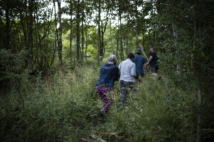 people walking in woodland