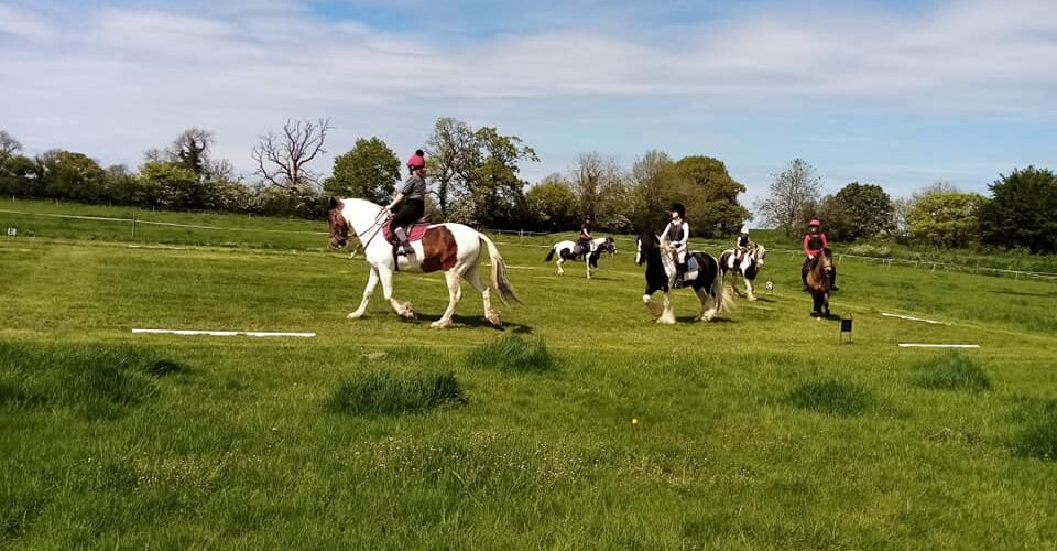 Divoky riding school