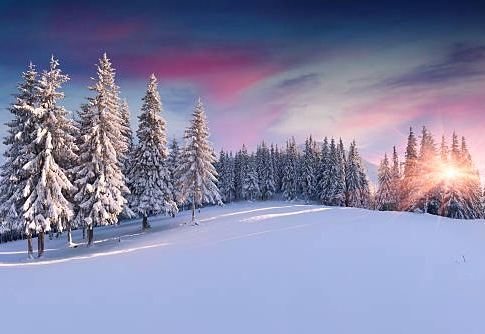 Winter landscape