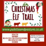 Christmas elf trail