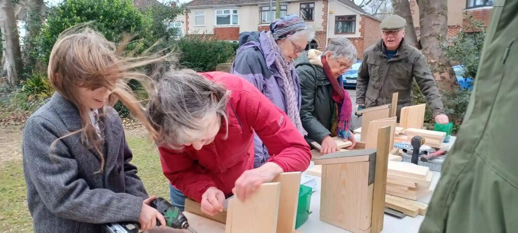 bird box building