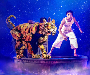 Life of Pi