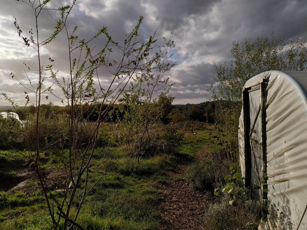 Shared Earth Learning allotment