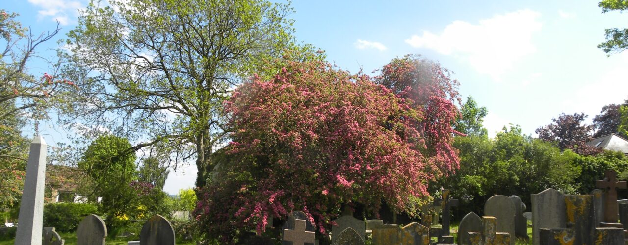 dissenters' cemetery