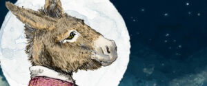 donkey illustration