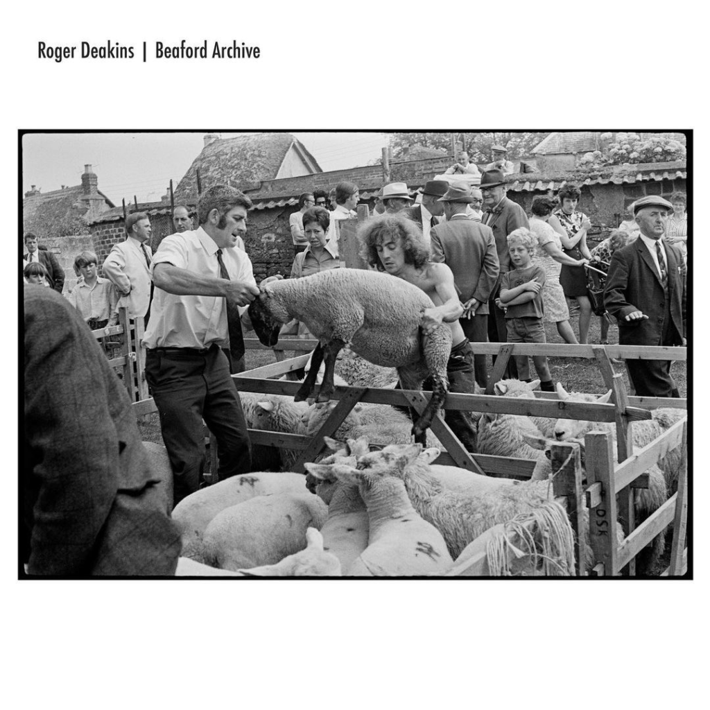 Sheep Market - Roger Deakins