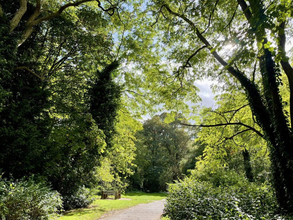 Welshmill River