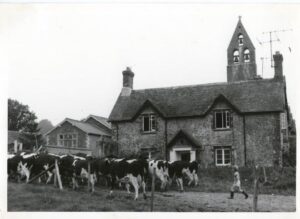 Witham Friary