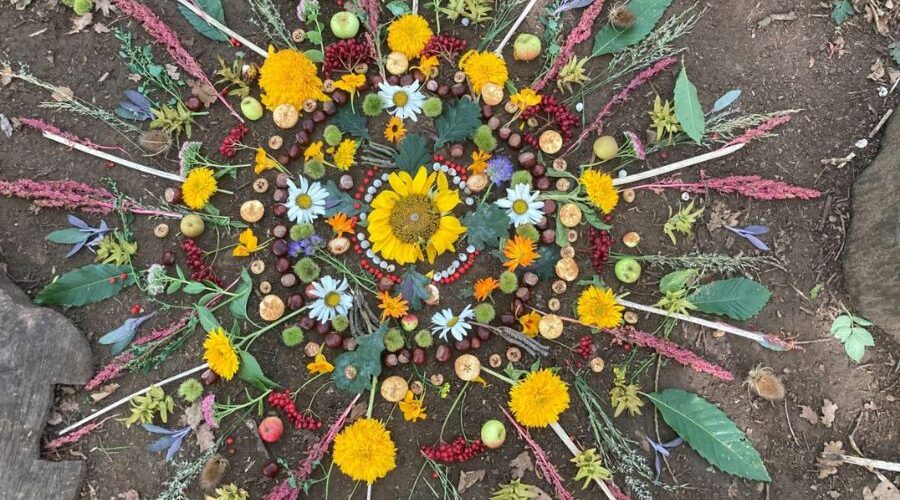 flower mandala on earth