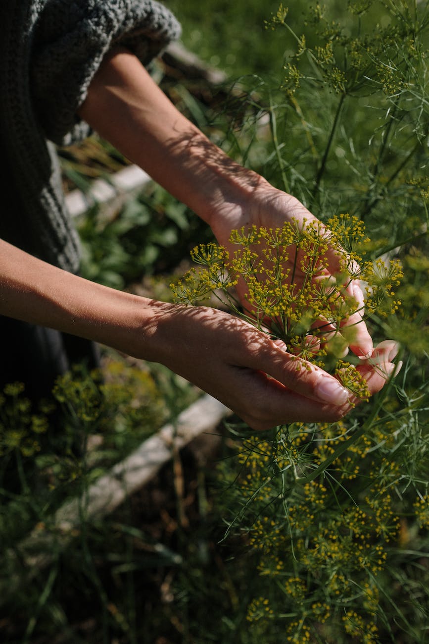 Nature-based sessions for women