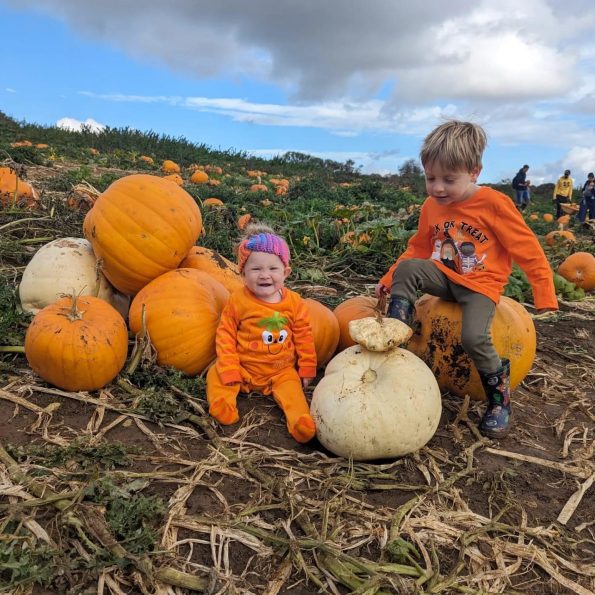 Pick your own pumpkins