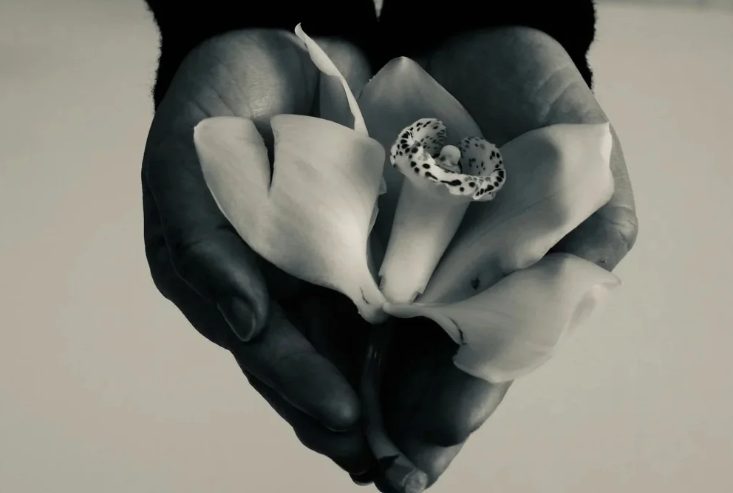 Celebrate a new chapter with us!