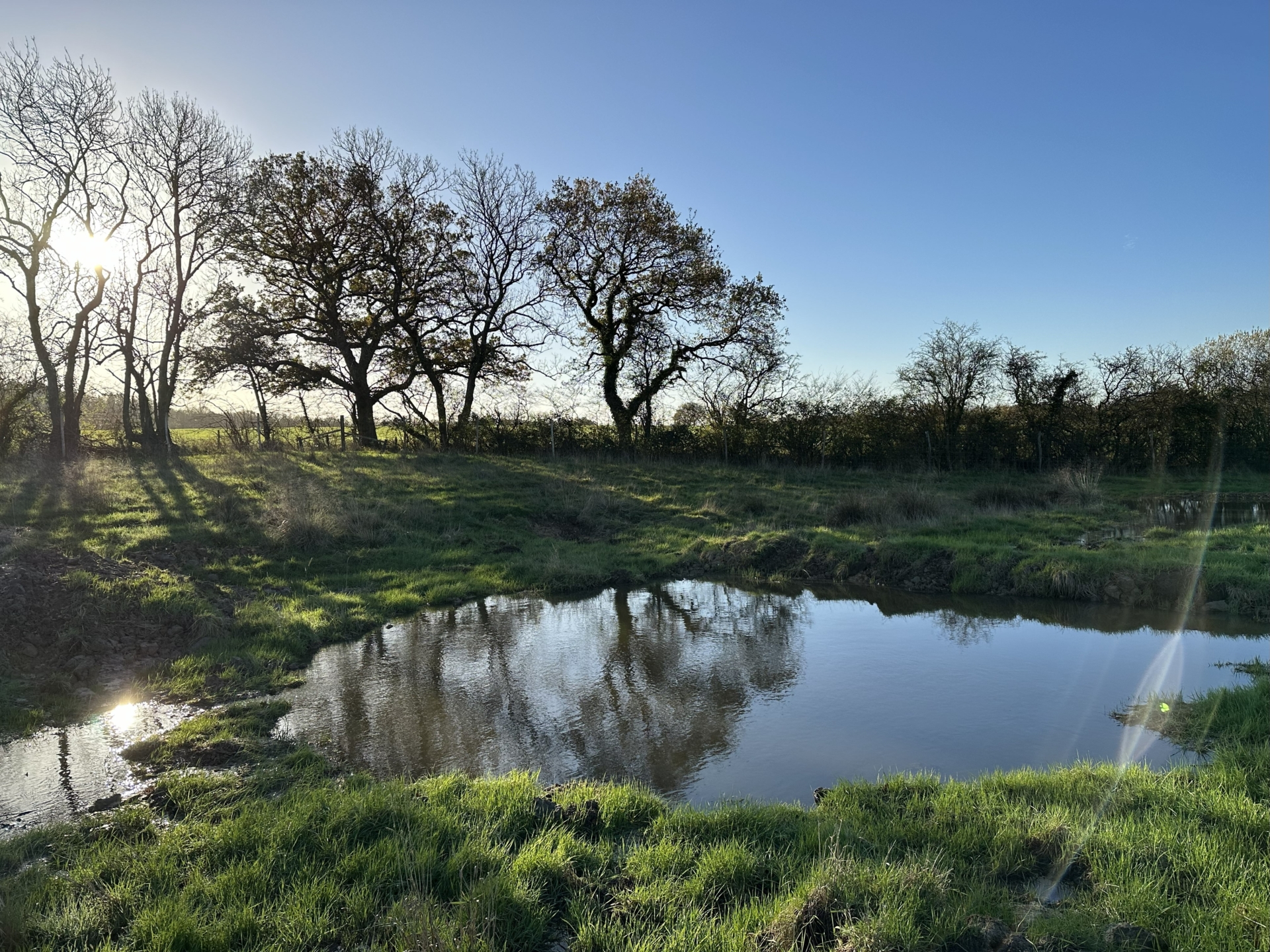 Wet, Wet, Wet: Beaver and Human Wetlands of Heal Somerset