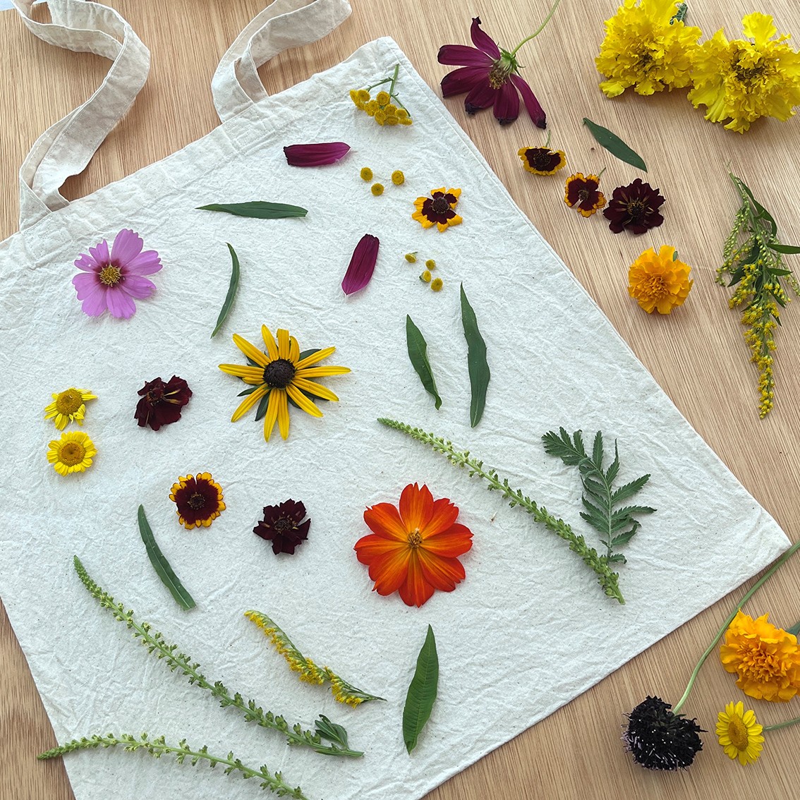 Natural Dyeing Tote Bag Workshop